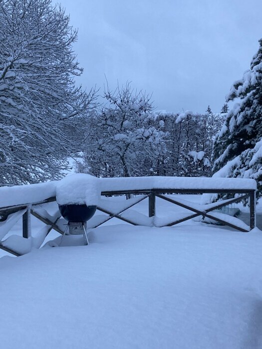 Vintrig trädgård, täckt i tjockt snötäcke, grill och staket framhäver årstidens stillhet.