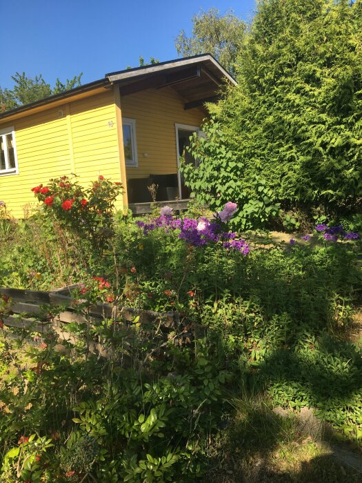 Gult hus omgivet av grönska och blommor under solig himmel.