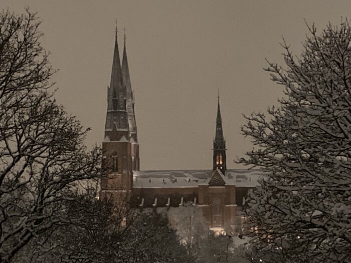 Kyrkspiror synliga bakom snötäckta träd under en vinterkväll.