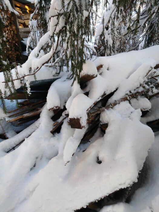 Vedstack täckt med snö, granträd, vinter, kallt, utomhus, dagsljus, ostadig komposition, naturelement.