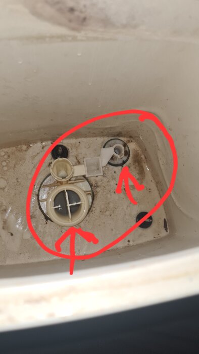 Smutsig tvättmaskinsbehållare med röd cirkel och pilar som pekar på skräp.