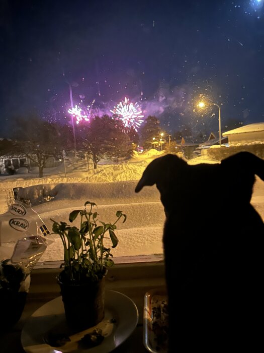 En hund silhuett tittar på fyrverkerier genom ett fönster, snötäckt landskap, reflektioner på glas, natt.