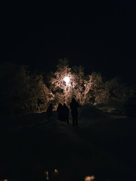 Tre personer i snölandskap nattetid, belysta träd i bakgrunden, vinter, mystisk, mörk, kall.