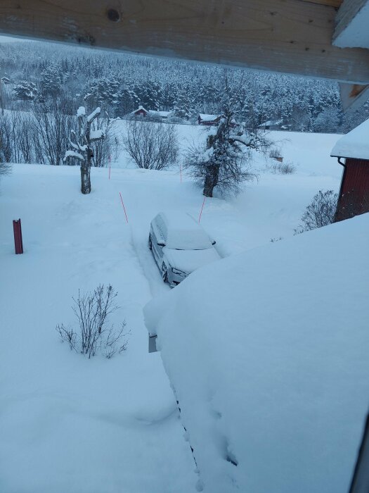 Snötyngd landskap, fordon begravt i snö, träd, stugor, dimmig skogsbakgrund, grå himmel.