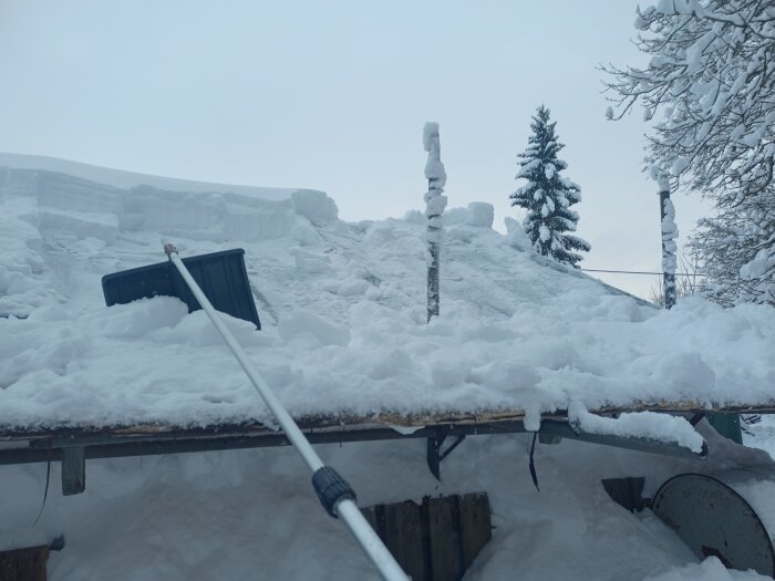 Tak täckt av snö, snöskyffel, träd, dimmig vinterdag, tjocka snölager, taklaviner möjliga, utomhus.