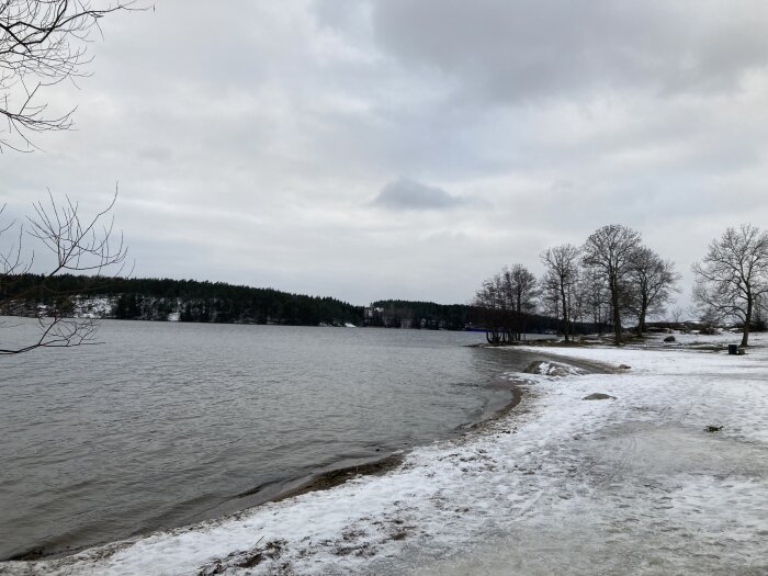 Vinter, snö, is, sjö, molnigt, träd utan löv, lugn, kyligt, landskap, naturen i vila.