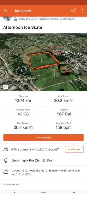 Skridskoåkning, eftermiddag, 13.74 km, 20.3 km/h, Borlänge, kallt väder, Garmin-enhet, aktivitetsdata, appbildskärm.