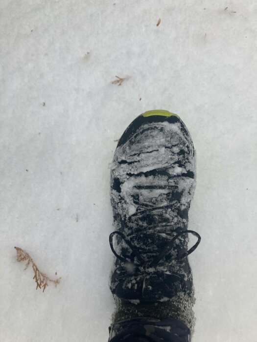 En vandringskänga täckt med snö, foten steg i snön, vinter, friluftsliv, detaljvy.