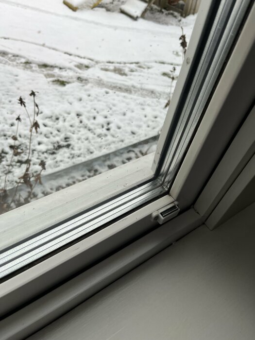 Vy genom fönster, snö täcker mark, döda växter, grå himmel, vinterdag, inomhusperspektiv, naturelement.