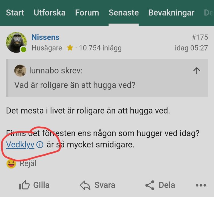 Skärmdump av forumdiskussion om vedhuggning, användare föreslår "Vedklyv" som ett smidigare alternativ.