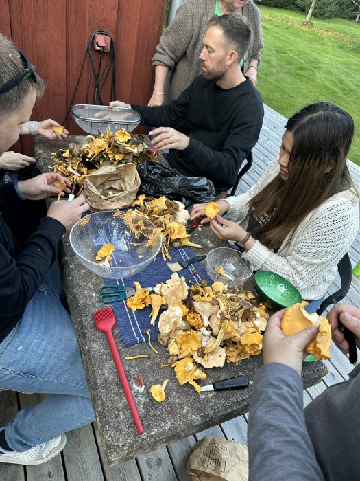 Personer rensar svampar vid ett bord utomhus, social sammankomst, avslappnad stämning, höstaktivitet.