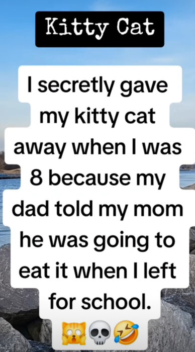 Textmeddelande på bakgrund av himmel och sten: person gav bort katt i hemlighet, rädd papp skulle äta den.