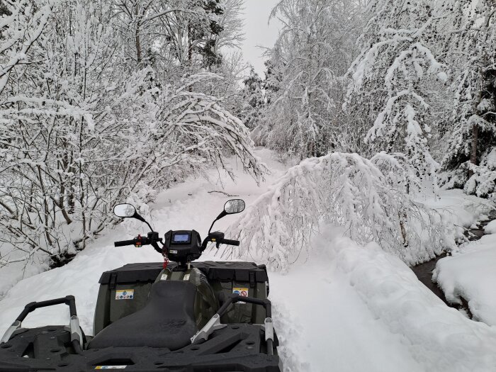 Fyrhjuling framför snötyngd skogsväg, vitt vinterlandskap, snötäckta träd och buskar, molnigt, stilla.