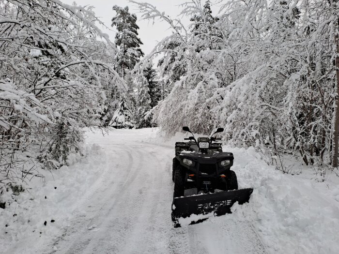 Fyrhjuling med plog framför snötäckta träd på en skogsväg.