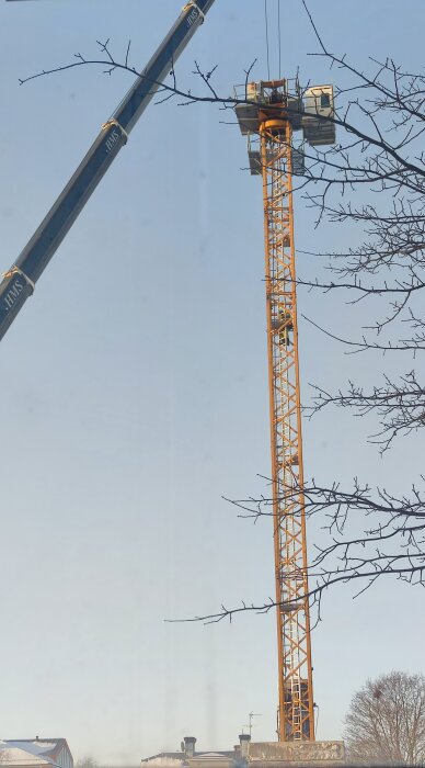 Gul tornkran mot klarblå himmel, omringad av kala trädgrenar, byggarbetsplats, vinter eller tidig vår.