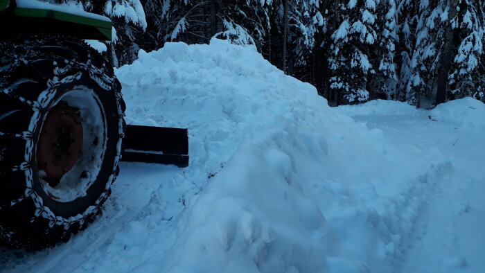 En traktor med snökedjor bredvid en stor snödriva, omgivet av snötäckta träd, i skymning eller gryning.