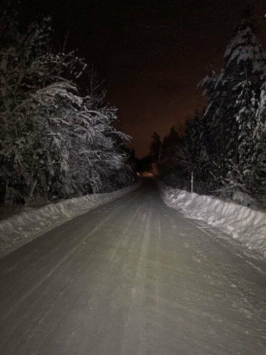 Snötäckt väg om natten, träd, kallt, mörkt, ensamt, bilspår, kyligt landskap, svag himmelsbelysning.