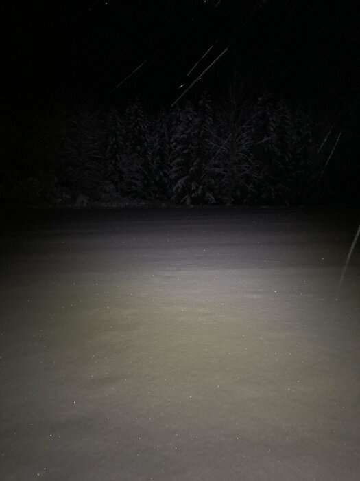 Snötäckt landskap nattetid, mörk skog i bakgrunden, stilla och öde stämning, svaga snöflingor faller.