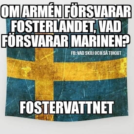 Svensk flagga, ordlek, armén, marinen, fostervatten, humoristisk bild, text på svenska.