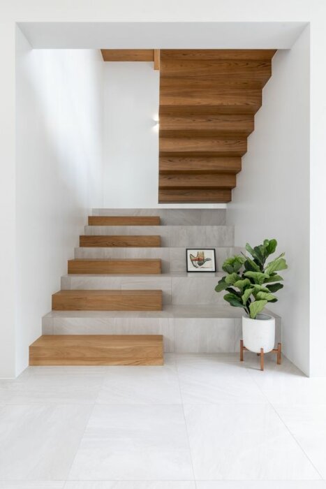 Modernt trapphus med trästeg, vit vägg, inbyggd belysning och växtdekor.