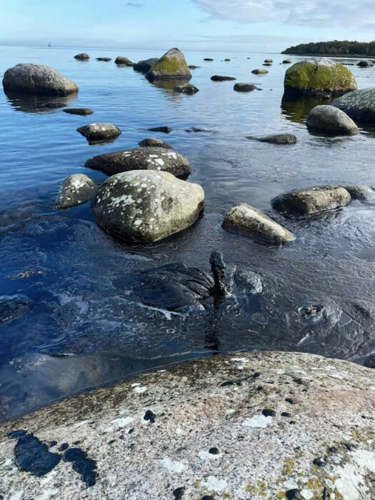 Still vatten med stenar, lugnt havslandskap, klart himmel, zen-liknande natur.