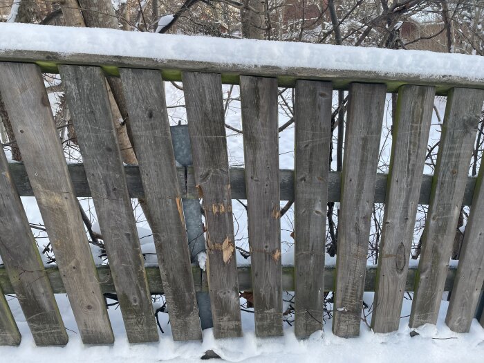 Ett slitet trästaket täckt med snö framför vinterlandskap och nakna träd.
