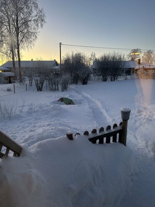 Ett snötäckt trädgård med fotspår, staket, och träd i vinterskymning.