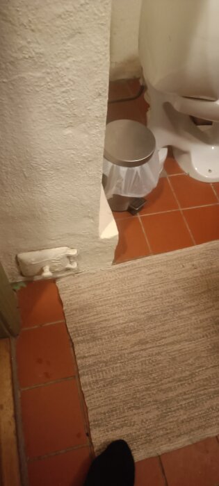 Hörn av ett badrum med toalettstol, papperskorg, matta och en skymt av ett ben.