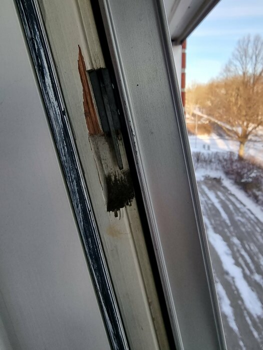 Skadat fönsterkarm med avskalad färg och trä, utsikt mot snöig natur utanför.