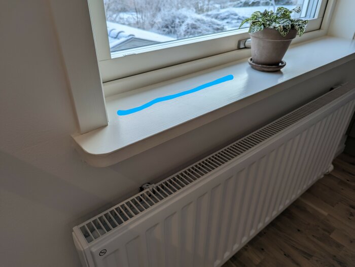 Ett fönster med snötäckt utsikt, krukväxt och nedanför, en radiator. Inomhus, dagsljus, vitt fönsterfoder, parkettgolv.