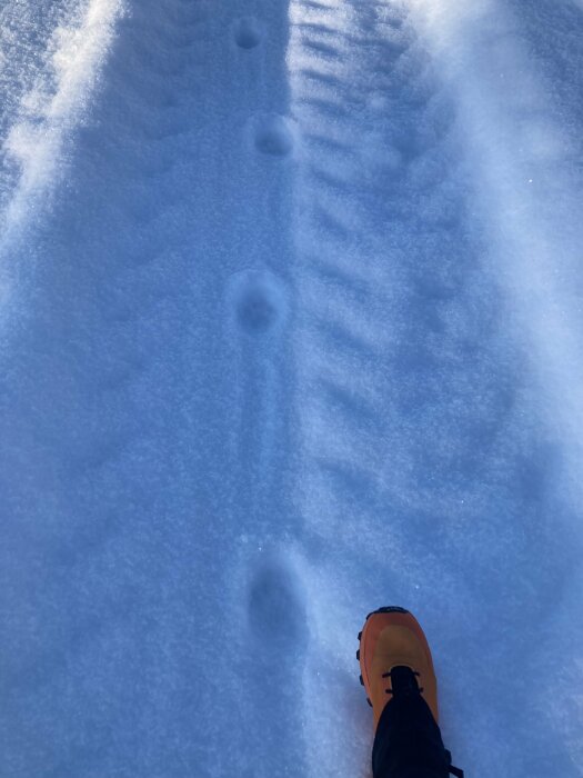 Person i vinterstövel på snö, med djurspår och mönster från en däcksprofil.