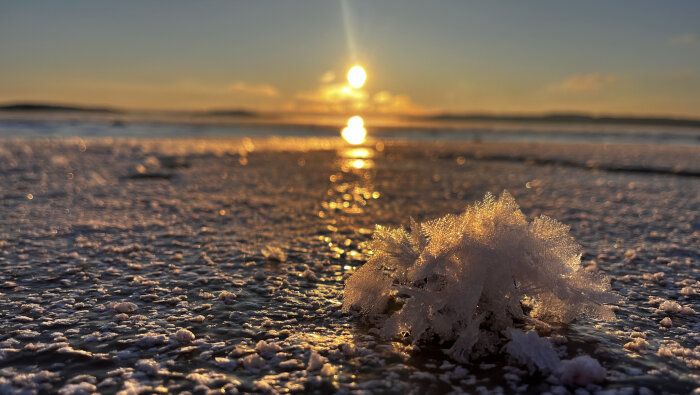 Snötäckt mark med iskristaller i solnedgången, kallt landskap, skimrande ljus, låg perspektivvy.