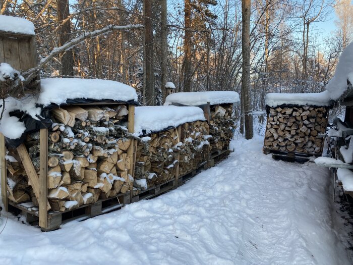 Vinterlandskap, snötäckta vedstaplar, skogsbakgrund, soligt, kallt, snöklädd stig.