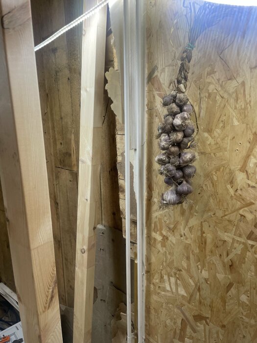En fläta med vitlökar hängande på en OSB-vägg i ett under konstruktion eller renoverat utrymme.