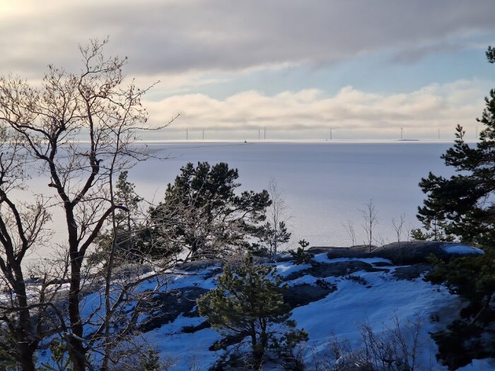 Vinterlandskap, hav, snö, träd, moln, vindkraftverk i fjärran.