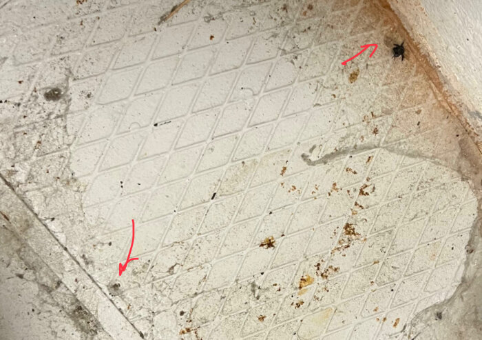 Slitet vita golvplattor, smuts, skadad kant, spindel, röda pilar indikerar specifika punkter.