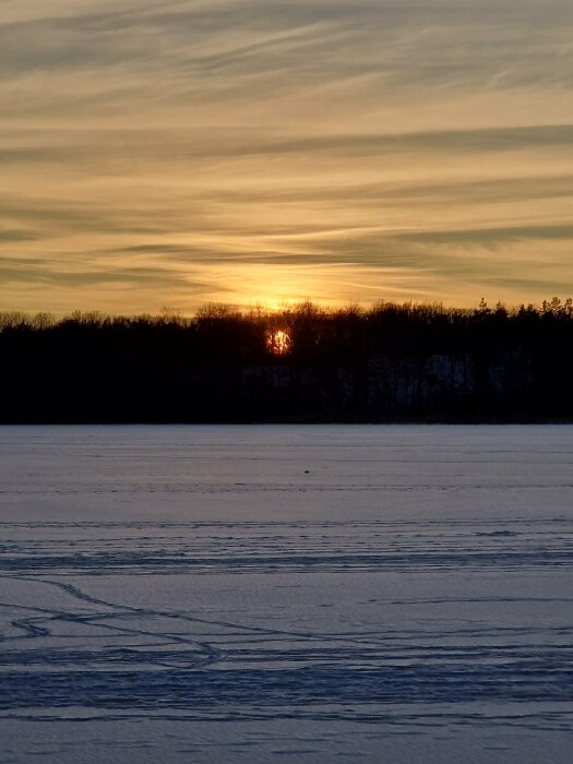 Solnedgång över frusen sjö, silhuetter av träd, pastellfärgade himlen, lugnt, vinterlandskap.