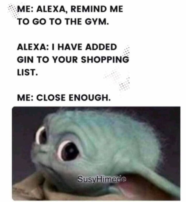 Humoristisk bild med textdialog där "Alexa" felhört "gym" som "gin", följt av bild på nöjd Baby Yoda.