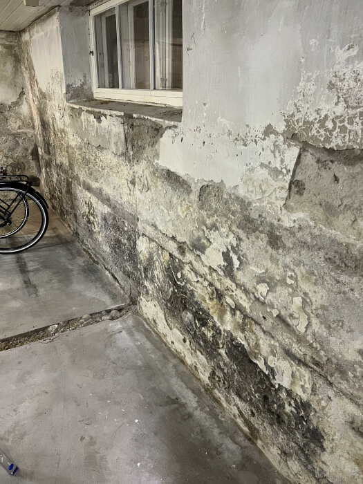 Fukt- och mögelskador på en betongvägg nära ett fönster med en cykel i bakgrunden.