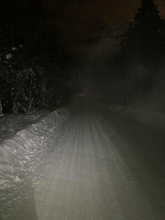 Ett snöigt och mörkt landskap med en väg, omgiven av träd och dunkel belysning.