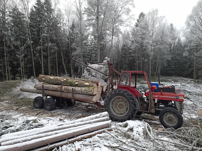 Röd traktor med timmervagn lastad med stockar i ett frostigt skogsområde.