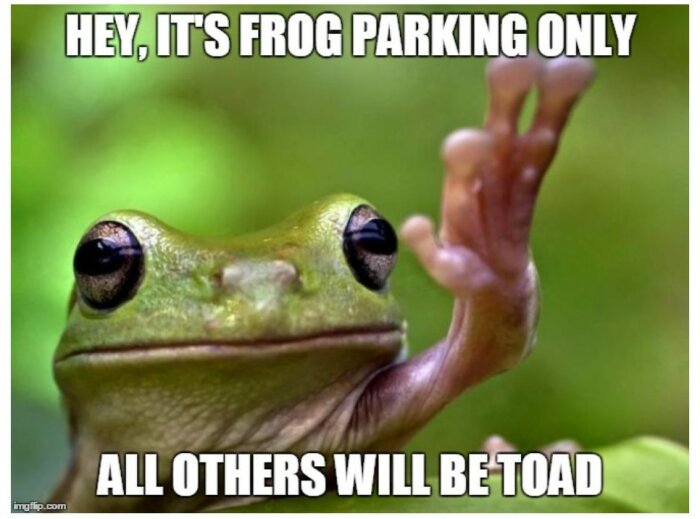 En groda gör "stop hand"-gest. Textskämt om grodparkering, ordlek med "toad" (padda/ta).