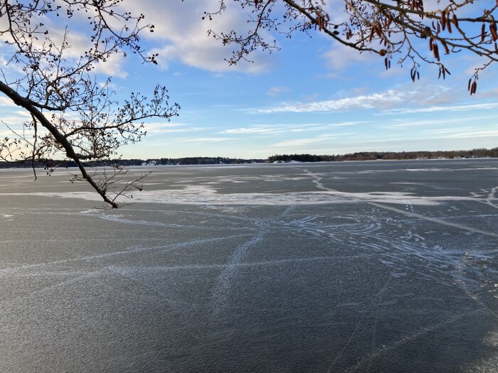 Istäckt sjö, trädgrenar i förgrunden, öar i bakgrunden, klara himmel, vintersäsong.