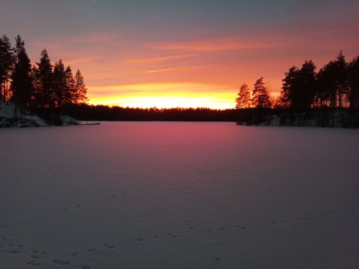 Solnedgång över vinterlandskap, snötäckt sjö, skogssilhuetter, djuporange himmel, stämningsfullt, fridfullt, kalla och varma toner.