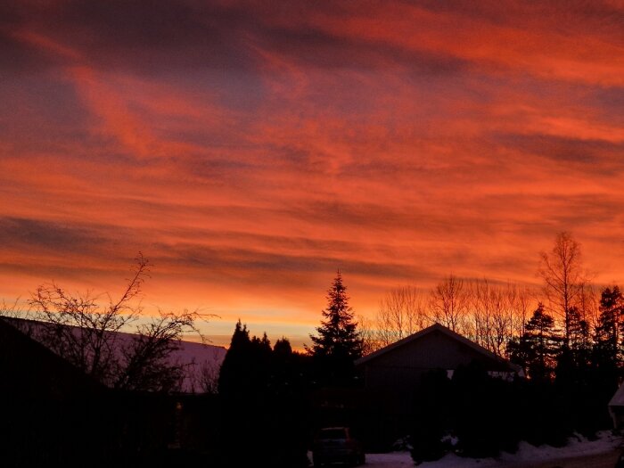 Dramatisk solnedgång, flammande himmel, silhuetter av träd, huskonturer, snötäckt mark.