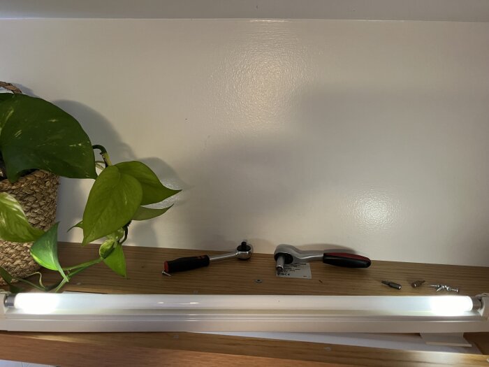 En hylla med växt, skruvmejsel, hammare och LED-lampa under monteringsprocess.