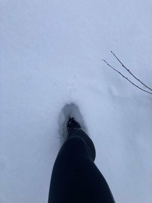 Ett ben i svarta byxor och fot i snö, grenar sticker upp, tyst vinterdag.