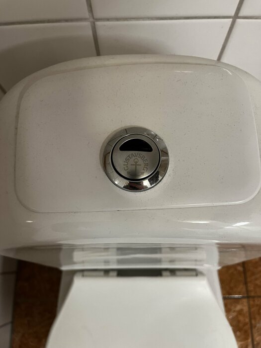 Toalettsköljningsknapp på ovansidan av en toalettcistern, smutsig, kaklat badrumsgolv i bakgrunden.