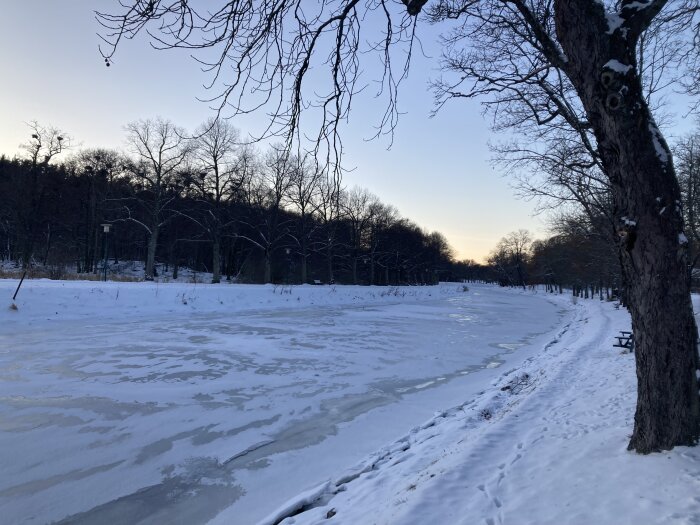 Vinterlandskap, frusen flod, snötäckta träd, skymningsljus, gångväg, parkbänkar, lugn atmosfär.