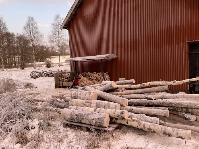 Ett rödfärgat uthus omgivet av snötäckta vedtravar och frostiga träd; landskap i vintervila.